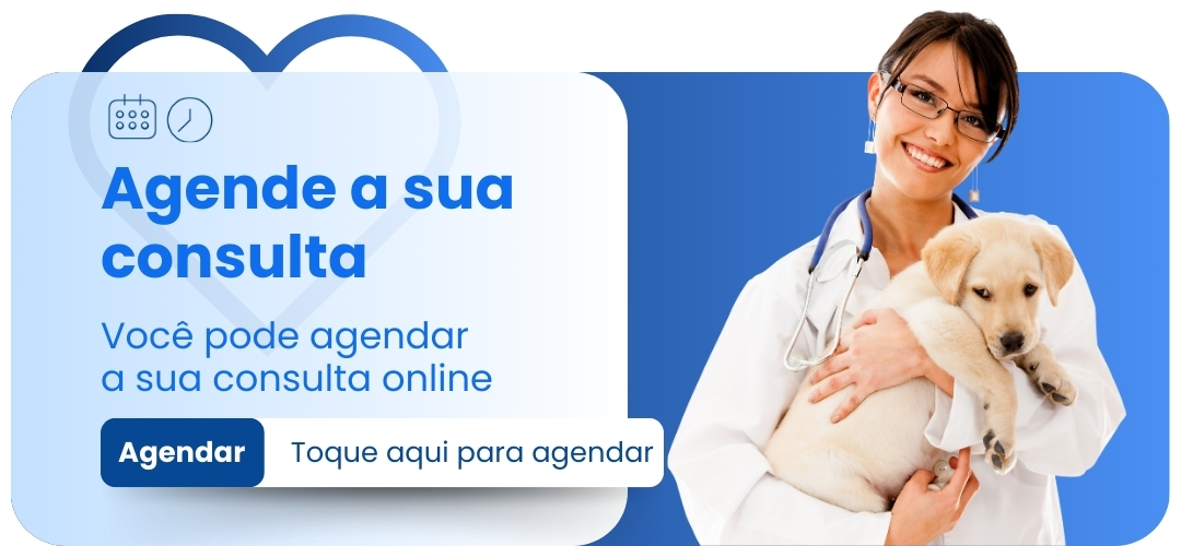Imagem pequena 2